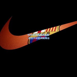 竞技宝官网-NBA总决赛激战正酣 新生代球星闪耀舞台