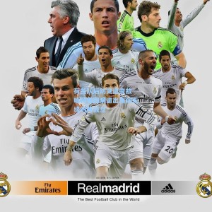 竞技宝中国_荷兰队后防突遭变故 哈特曼因病退出集训无缘对阵波兰