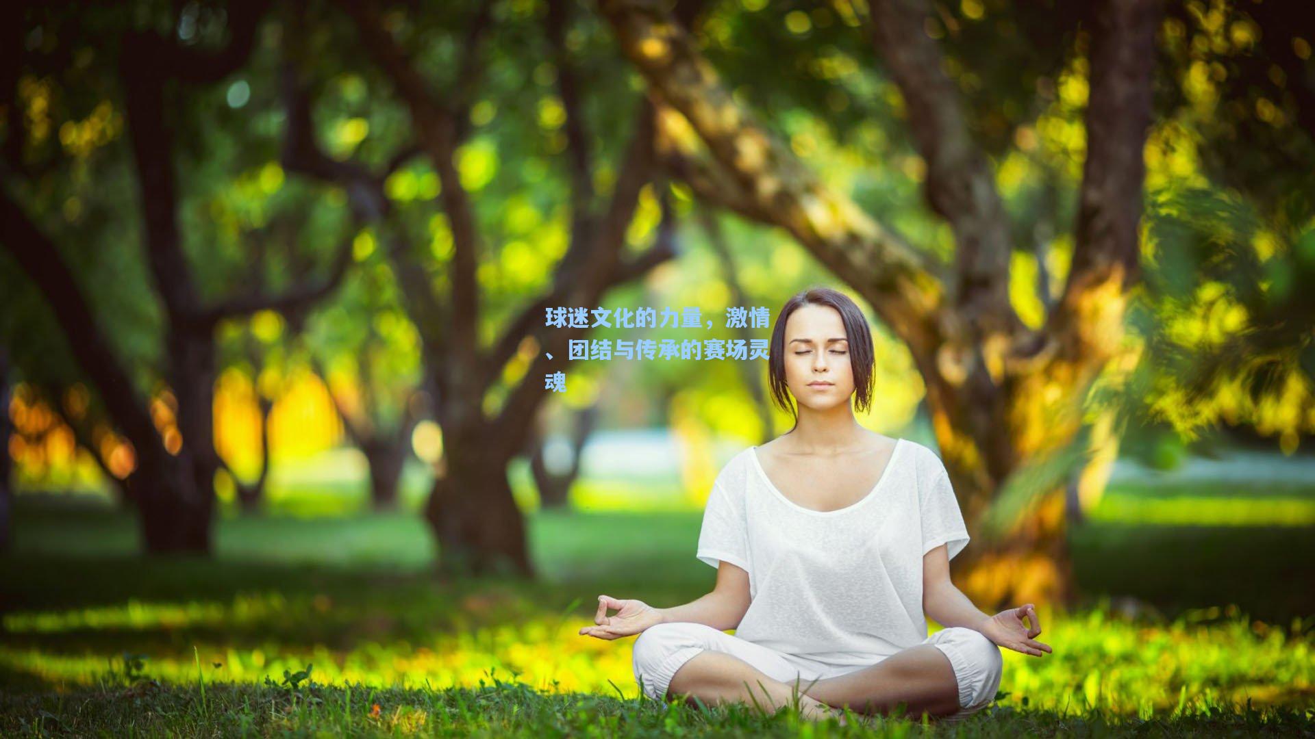 球迷文化的力量，激情、团结与传承的赛场灵魂