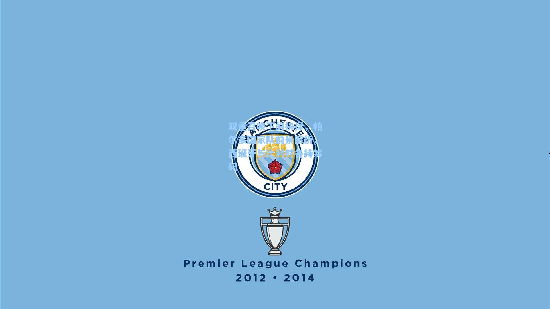 双重召唤下的抉择，帕尔多国家队前景解析，西班牙与比利时各持筹码