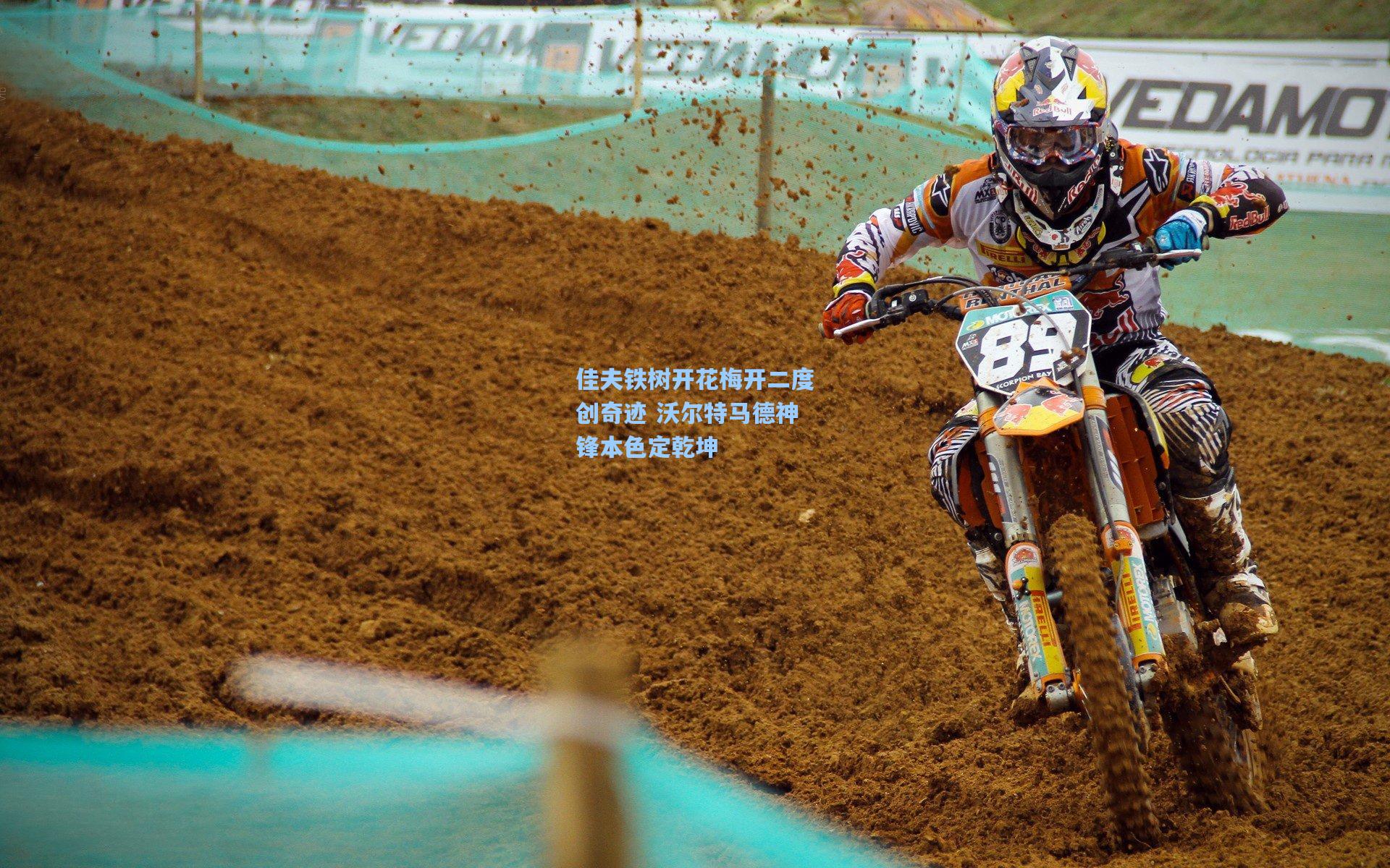 佳夫铁树开花梅开二度创奇迹 沃尔特马德神锋本色定乾坤