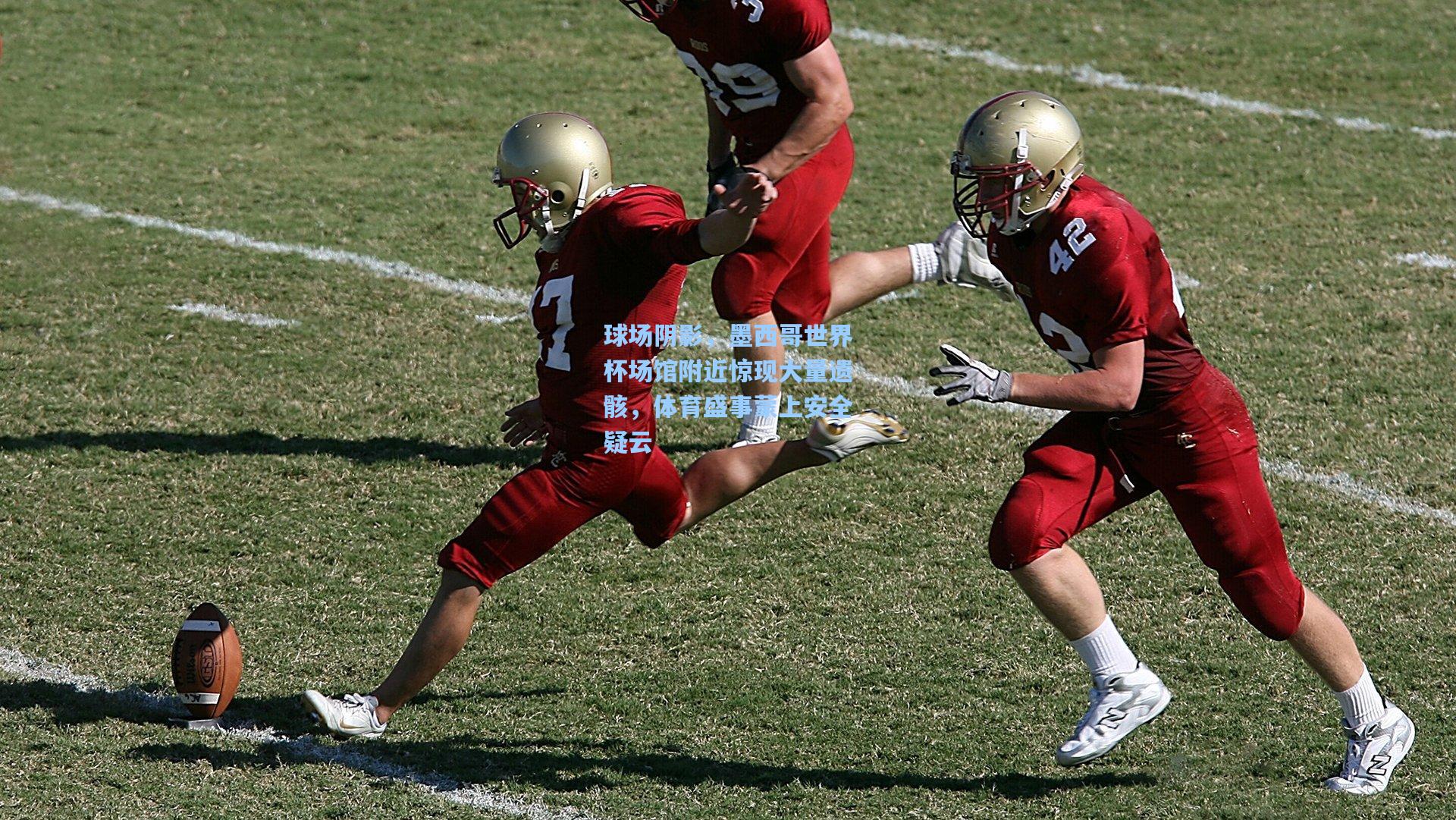 球场阴影,墨西哥世界杯场馆附近惊现大量遗骸,体育盛事蒙上安全疑云